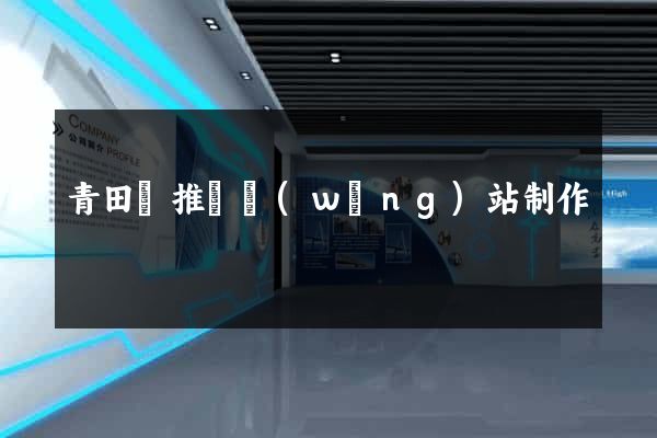 青田縣推廣網(wǎng)站制作
