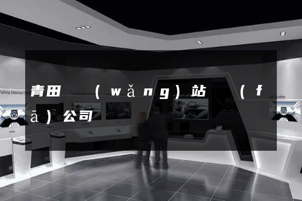 青田縣網(wǎng)站開發(fā)公司