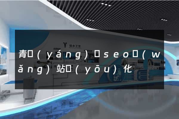 青陽(yáng)縣seo網(wǎng)站優(yōu)化