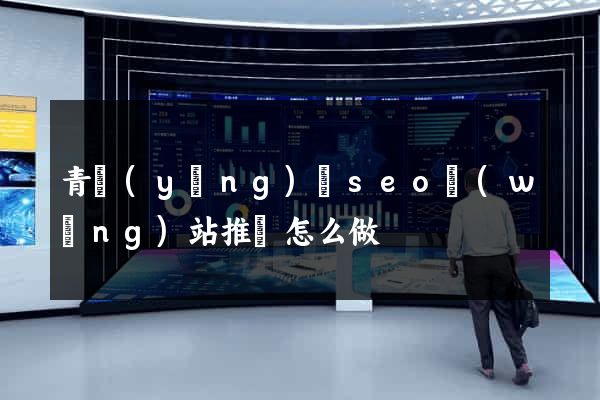 青陽(yáng)縣seo網(wǎng)站推廣怎么做