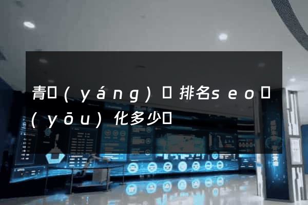 青陽(yáng)縣排名seo優(yōu)化多少錢