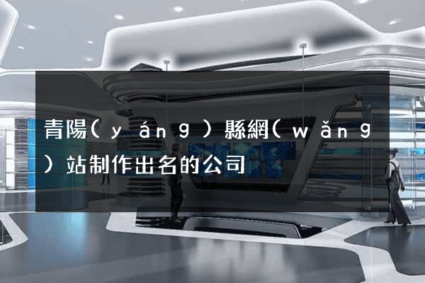 青陽(yáng)縣網(wǎng)站制作出名的公司
