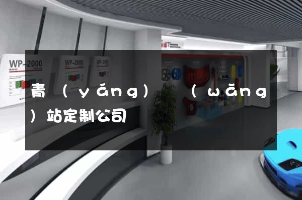 青陽(yáng)縣網(wǎng)站定制公司