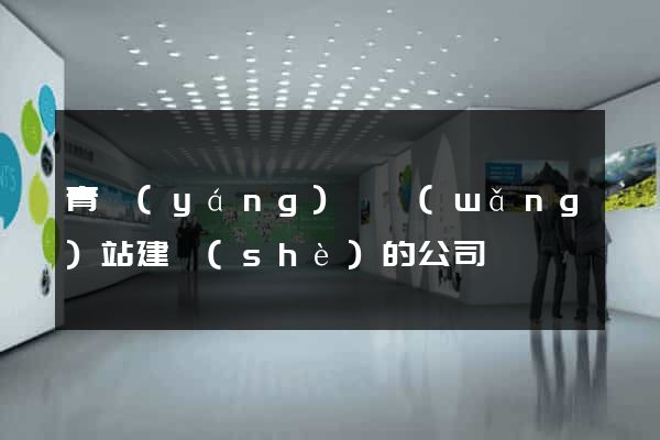青陽(yáng)縣網(wǎng)站建設(shè)的公司