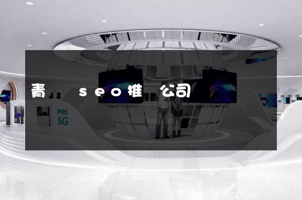 青陽縣seo推廣公司