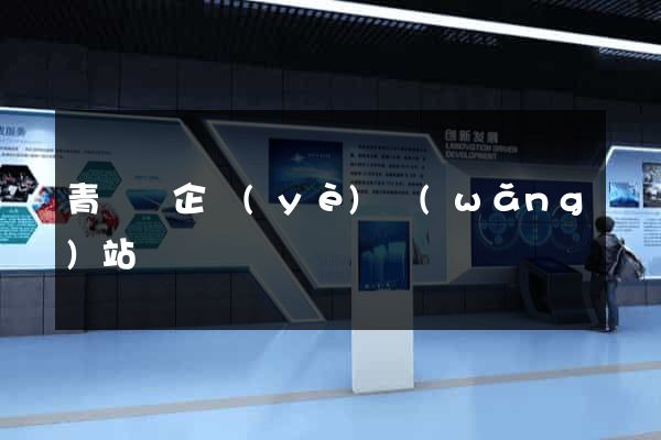 青陽縣企業(yè)網(wǎng)站設計