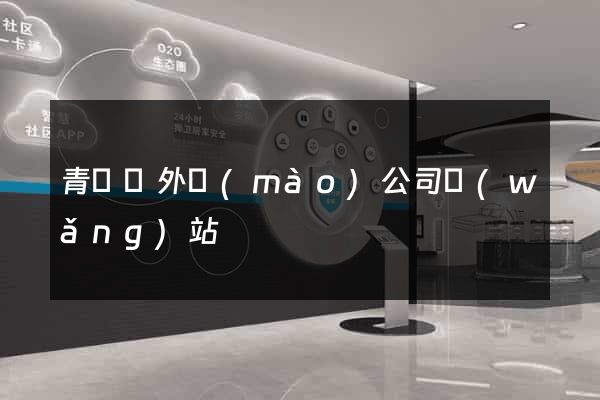 青陽縣外貿(mào)公司網(wǎng)站
