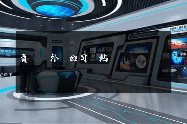 青陽縣外貿公司網站
