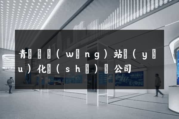 青陽縣網(wǎng)站優(yōu)化設(shè)計公司