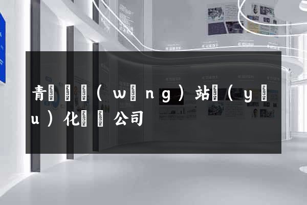青陽縣網(wǎng)站優(yōu)化設計公司
