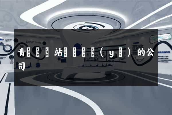 青陽縣網站設計專業(yè)的公司
