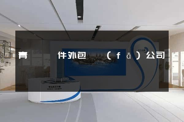 青陽縣軟件外包開發(fā)公司