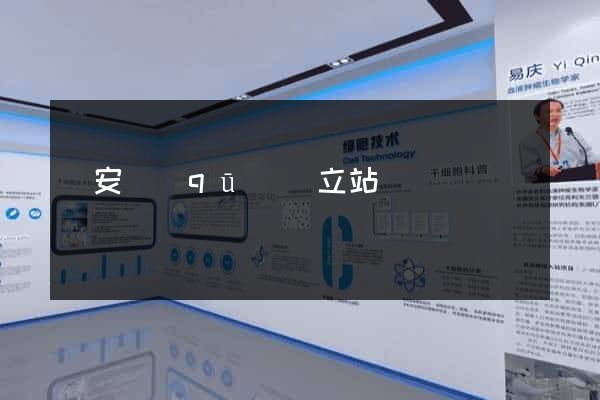 靜安區(qū)獨立站運營