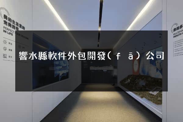 響水縣軟件外包開發(fā)公司