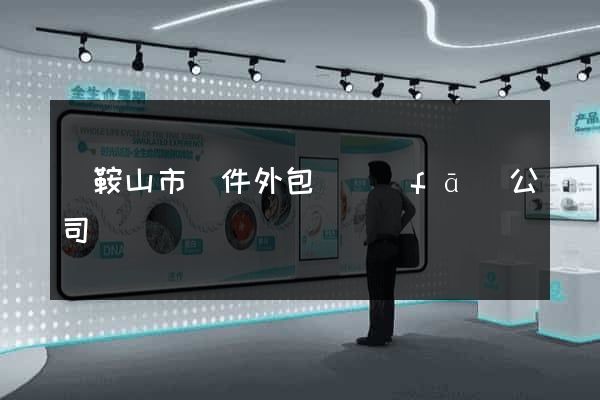 馬鞍山市軟件外包開發(fā)公司