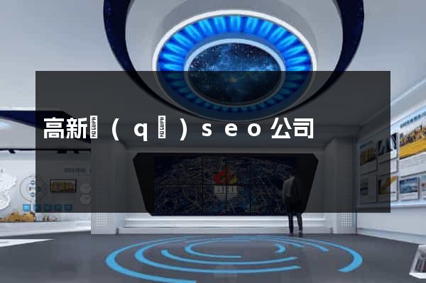 高新區(qū)seo公司