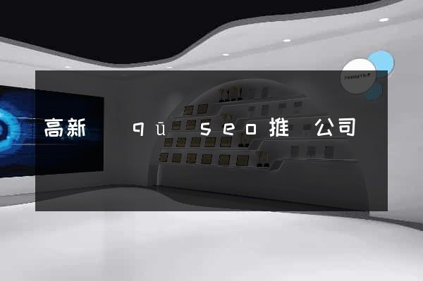 高新區(qū)seo推廣公司