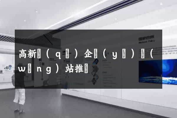 高新區(qū)企業(yè)網(wǎng)站推廣