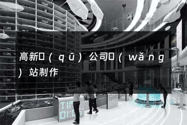 高新區(qū)公司網(wǎng)站制作