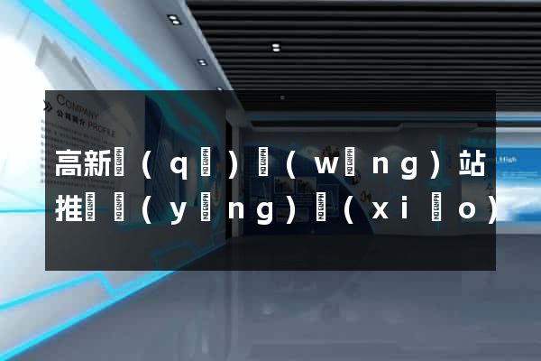 高新區(qū)網(wǎng)站推廣營(yíng)銷(xiāo)