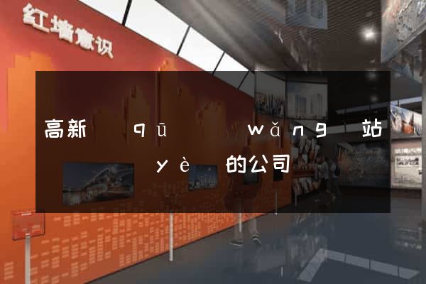 高新區(qū)網(wǎng)站設計專業(yè)的公司