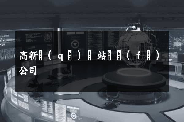 高新區(qū)網站開發(fā)公司