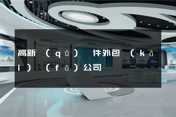 高新區(qū)軟件外包開(kāi)發(fā)公司