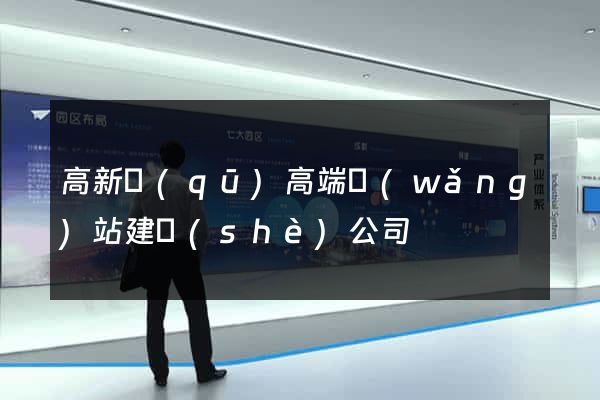 高新區(qū)高端網(wǎng)站建設(shè)公司