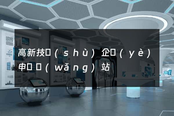 高新技術(shù)企業(yè)申報網(wǎng)站