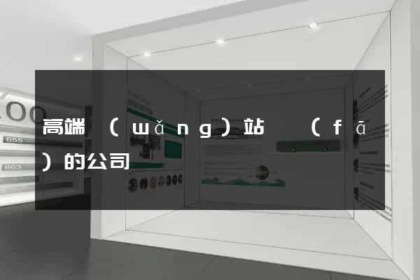 高端網(wǎng)站開發(fā)的公司