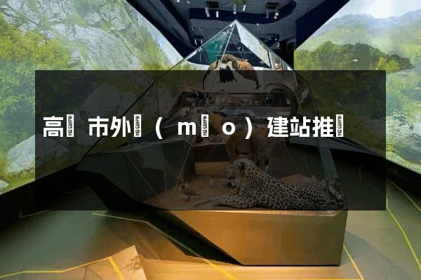 高郵市外貿(mào)建站推廣