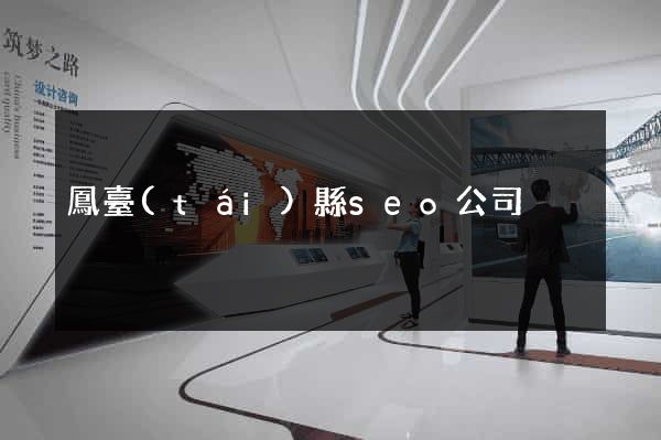 鳳臺(tái)縣seo公司