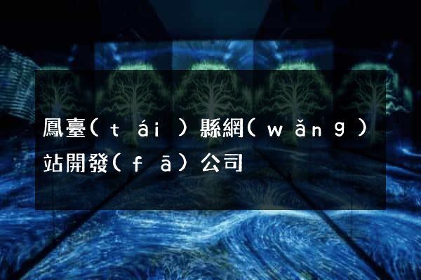 鳳臺(tái)縣網(wǎng)站開發(fā)公司