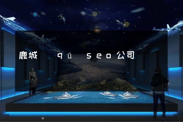 鹿城區(qū)seo公司