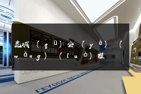 鹿城區(qū)企業(yè)網(wǎng)絡(luò)推廣
