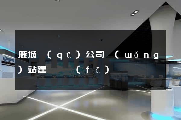 鹿城區(qū)公司網(wǎng)站建設開發(fā)