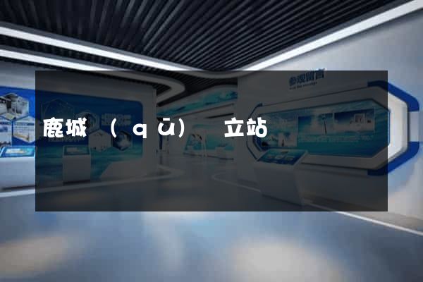 鹿城區(qū)獨立站運營