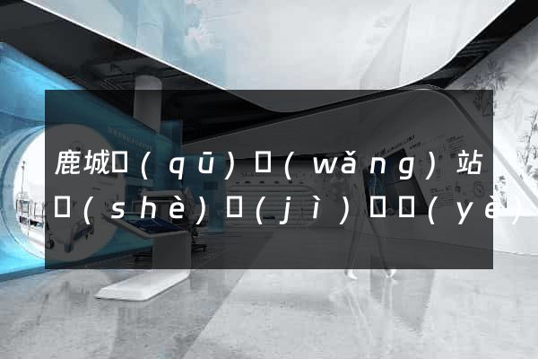 鹿城區(qū)網(wǎng)站設(shè)計(jì)專業(yè)的公司