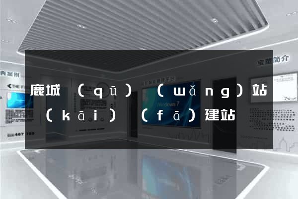 鹿城區(qū)網(wǎng)站開(kāi)發(fā)建站