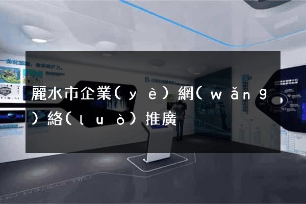 麗水市企業(yè)網(wǎng)絡(luò)推廣