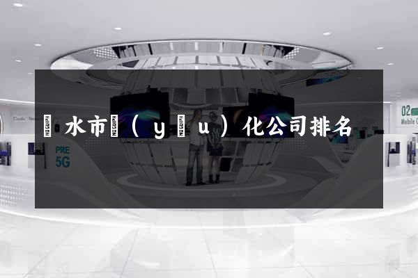 麗水市優(yōu)化公司排名