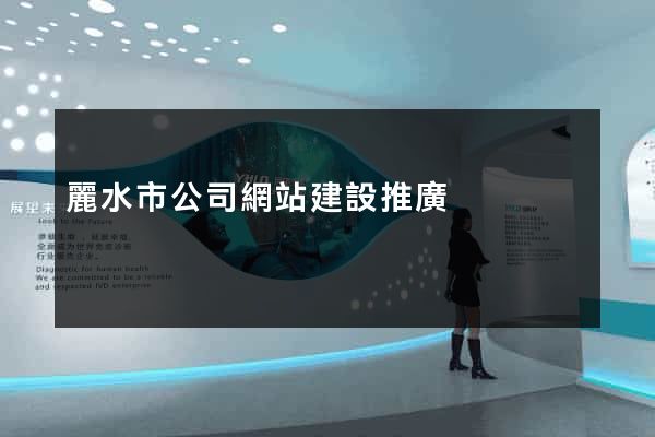 麗水市公司網站建設推廣