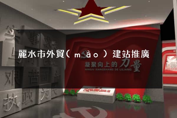麗水市外貿(mào)建站推廣