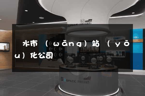 麗水市網(wǎng)站優(yōu)化公司