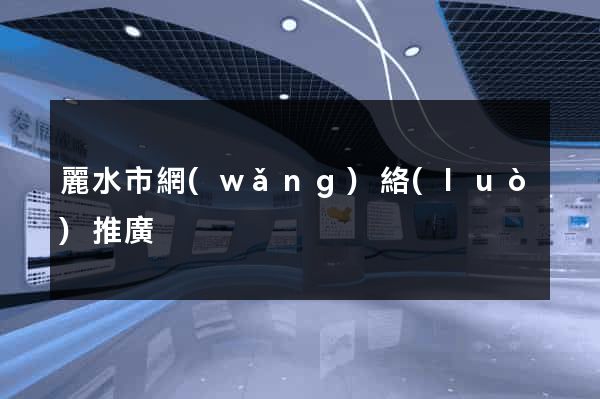 麗水市網(wǎng)絡(luò)推廣