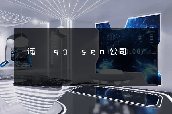 黃浦區(qū)seo公司