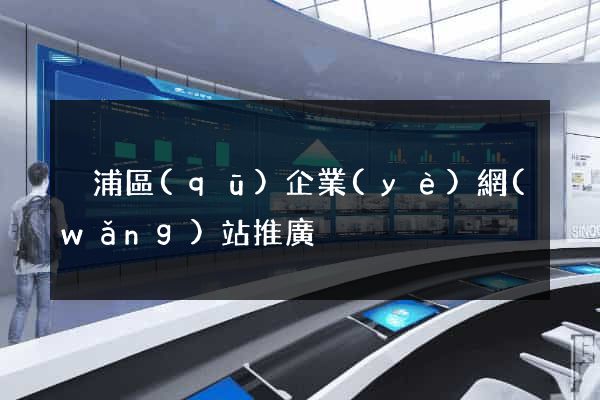 黃浦區(qū)企業(yè)網(wǎng)站推廣