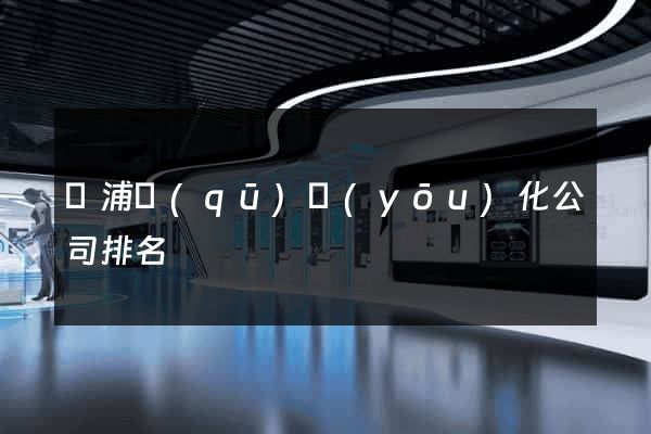 黃浦區(qū)優(yōu)化公司排名