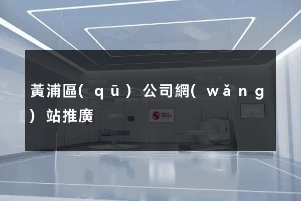黃浦區(qū)公司網(wǎng)站推廣