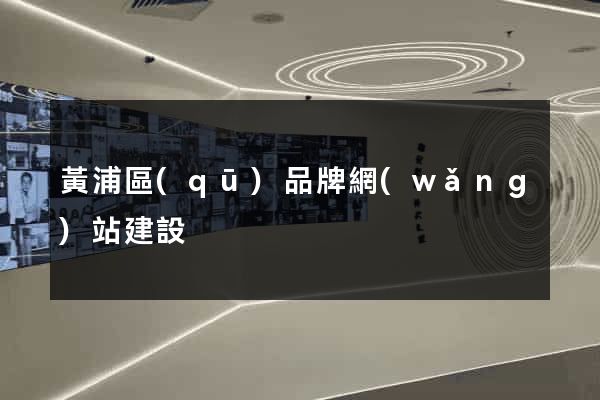 黃浦區(qū)品牌網(wǎng)站建設